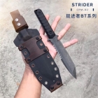 挺进者Strider BT纪念迷你T头